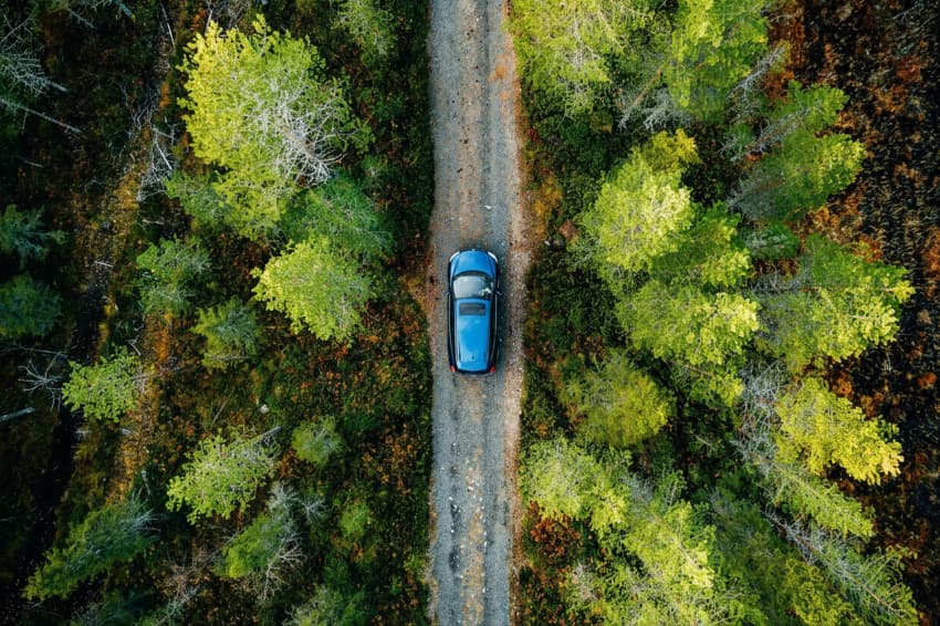 Birds eye view of car driving in the forest