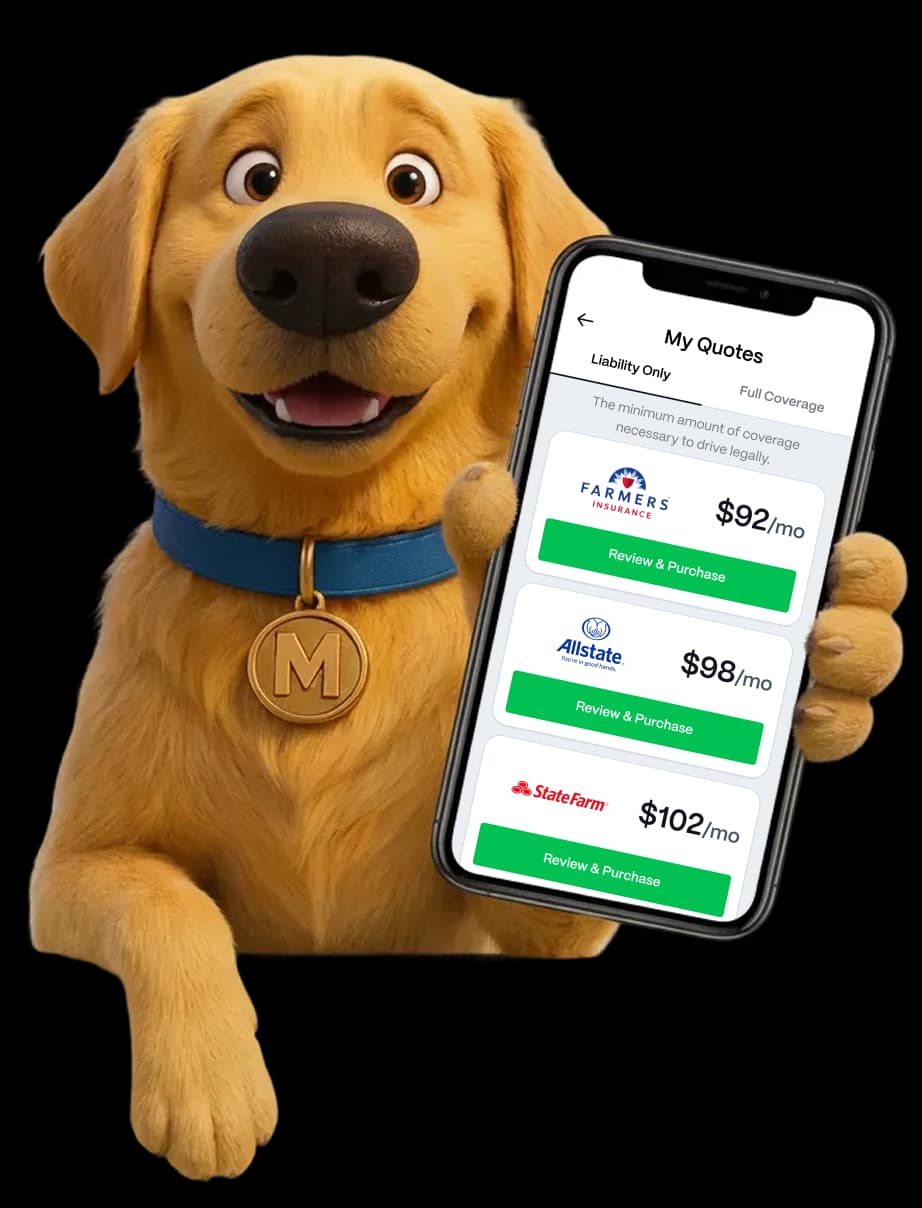 Auto Insurance Quotes Online